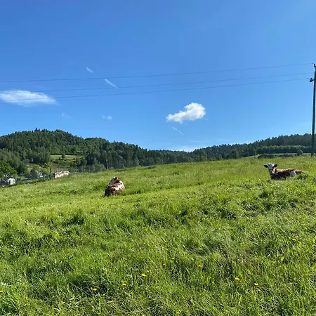 Domki Mizerna - Czorsztyn - Pieniny Exterior photo